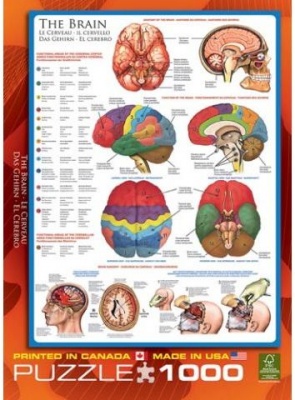 Photo of Eurographics Puzzle 1000 Pieces - The Brain