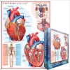 Eurographics Puzzle 1000 Pieces - The Heart Photo