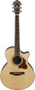 Ibanez AE205JR-OPN AE Series Acoustic Electric Guitar with Bag Photo