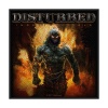 Disturbed - Indestructible Photo