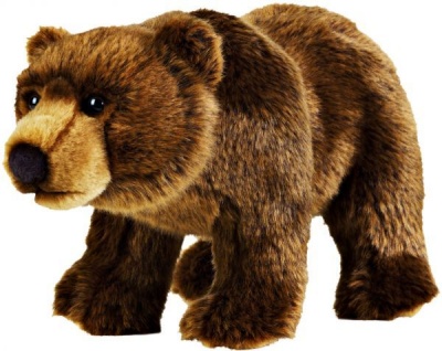 Photo of National Geographic - Grizzly Bear Plush
