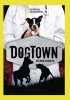 Dogtown: Second Chances Photo