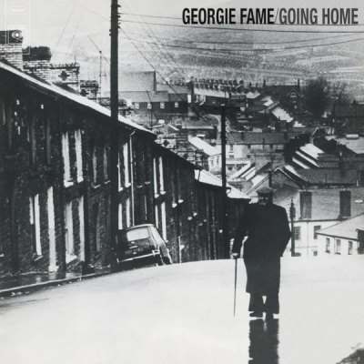 Photo of Music On Vinyl Georgie Fame - Going Home