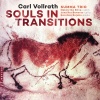 Naive Vollrath / Summa Trio - Souls In Transitions Photo