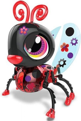 Photo of Build a Bug Robot - Ladybug