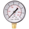 GAV Pressure Gauge 0-16bar 1/4lower63mm Photo