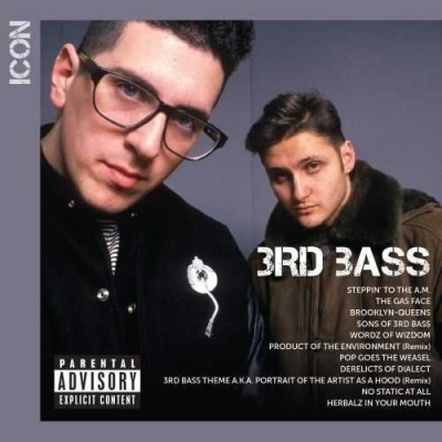 Photo of Def Jam 3rd Bass - Icon