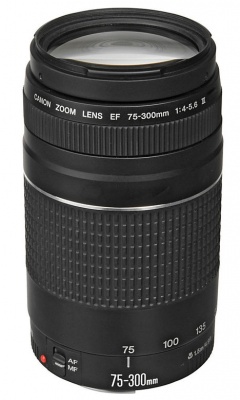 Photo of Canon EF 75 - 300 F 4.0 - 5.6 lens