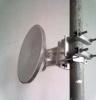 SIAE 17GHz Dish antenna - 30cm Photo
